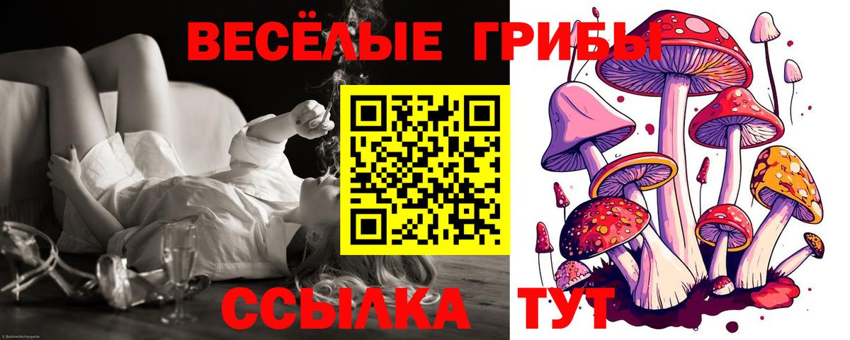 Псилоцибиновые грибы прущие грибы  Вход с VPN  Серпухов 